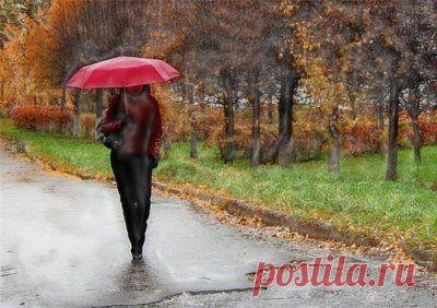 Обнаружен ген одиночества | Наука и техника