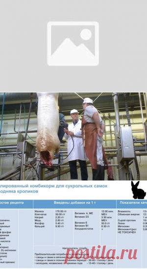 Биоконверсия питательных веществ корма в мясную продукцию - БиоКорова