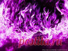 фиолетовый цвет - 707 . картинок. Поиск@Mail.Ru