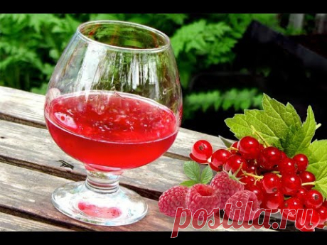 Простой и вкусный рецепт домашнего вина из ягод