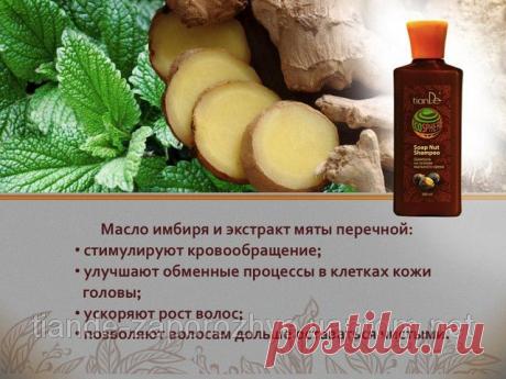 Купить Шампунь на основе мыльного ореха, 300 мл Запорожье и Украине от компании &quot;ТианДе&quot;