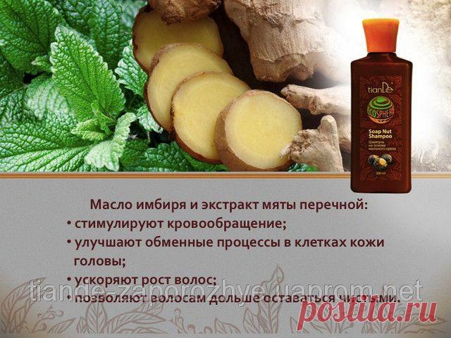 Купить Шампунь на основе мыльного ореха, 300 мл Запорожье и Украине от компании "ТианДе"