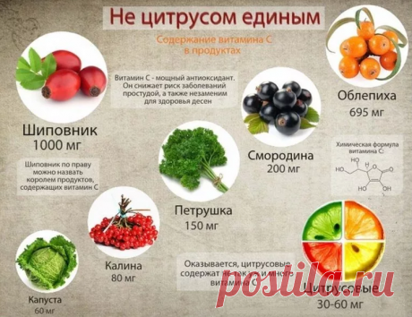Японский врач М.Хигучи нашел простой способ продления молодости | Путь Корнея | Яндекс Дзен