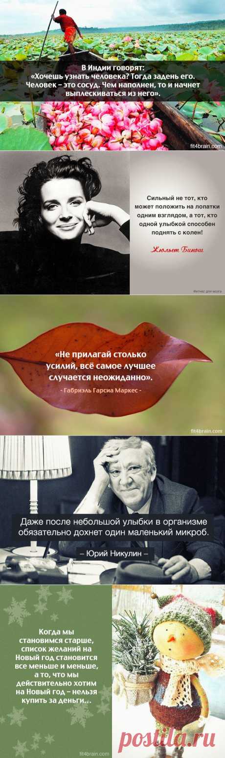 Одной фразой | Полезные советы