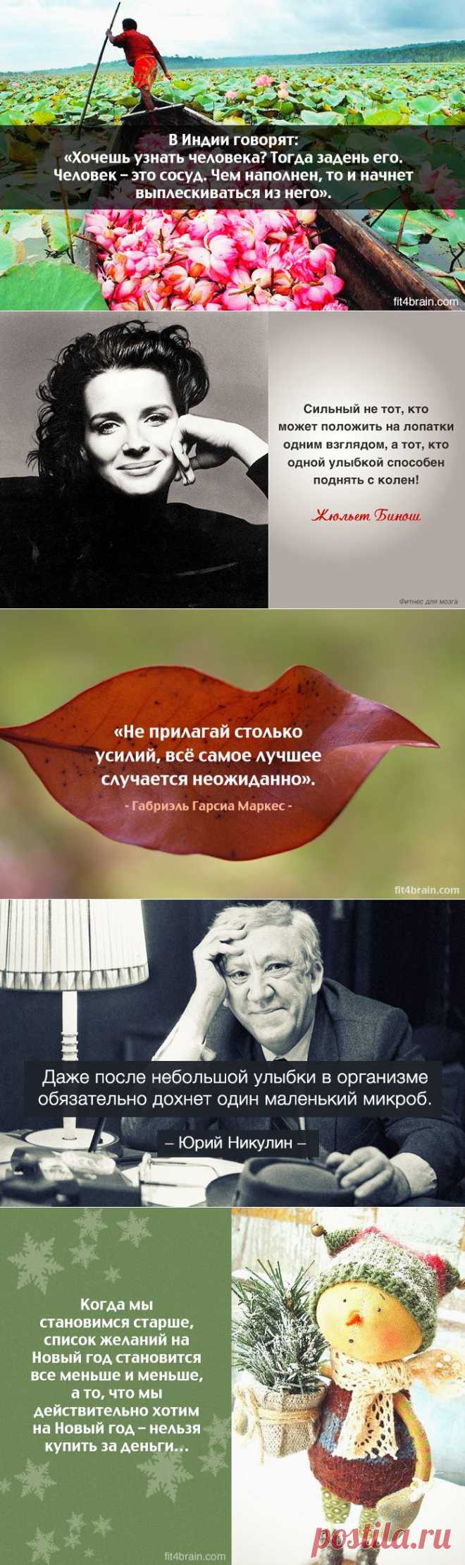 Одной фразой | Полезные советы