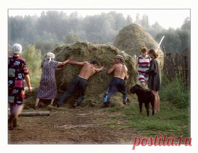 «деревенская жизнь»