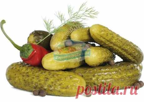 Рецепты соленых огурцов в банках с пошаговыми фото
