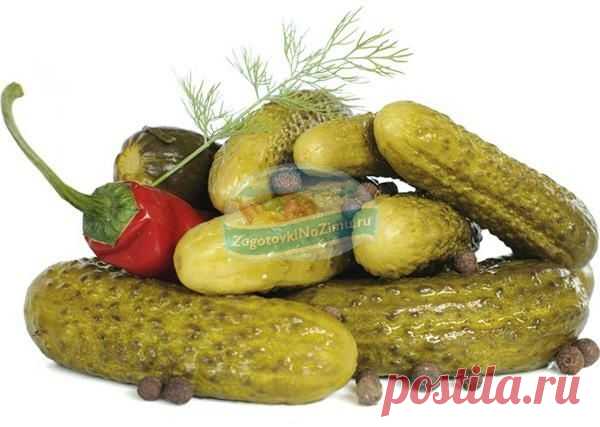 Рецепты соленых огурцов в банках с пошаговыми фото