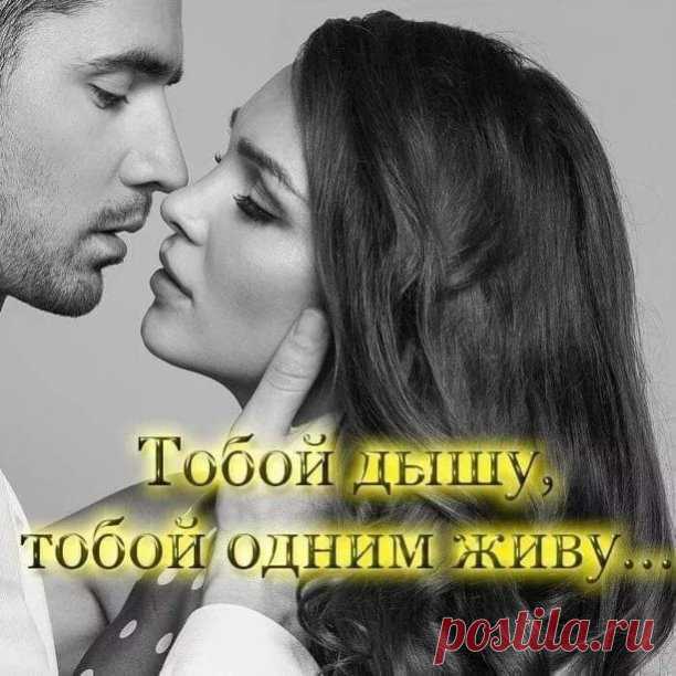 Мне без тебя так трудно жить,
А ты - ты дразнить и тревожишь.
Ты мне не можешь заменить
Весь мир...
А кажется, что можешь.
Есть в мире у меня в своём:
Дела, успехи и напасти.
Мне лишь тебя недостаёт - 
Для полного людского счастья.
Мне без тебя так трудно жить:
Всё - неуютно, всё - тревожит...
Ты мир не можешь заменить.
Но ведь и он тебя - не может...