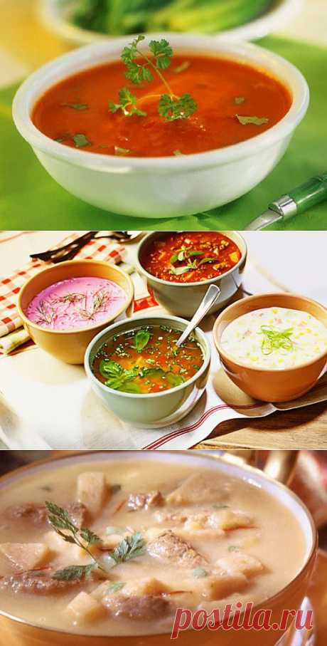 Самые вкусные холодные супы