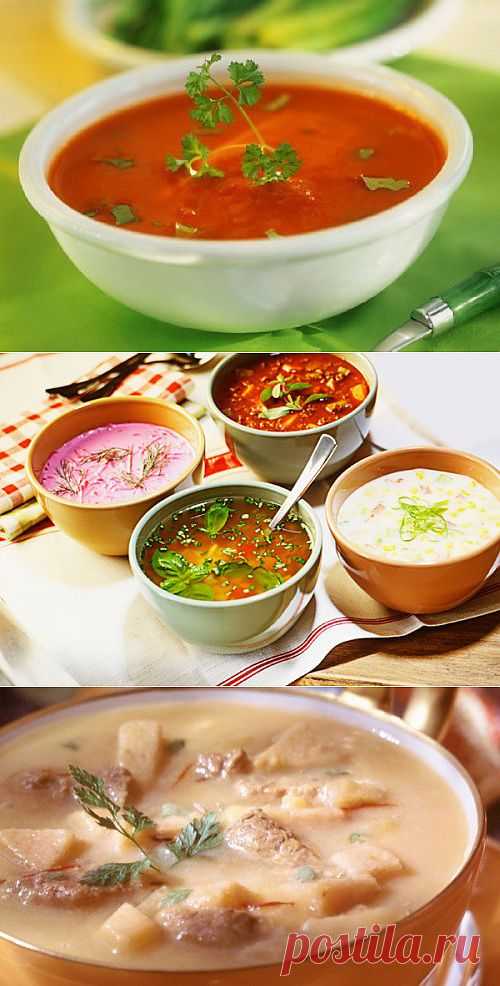 Самые вкусные холодные супы
