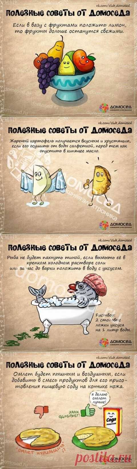Домосед делится полезными советами