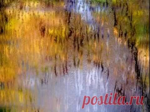 Дождик осенний, поплачь обо мне...