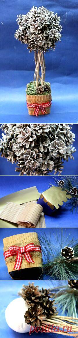 Топиарий- дерево счастья из шишек. Мастер-класс.