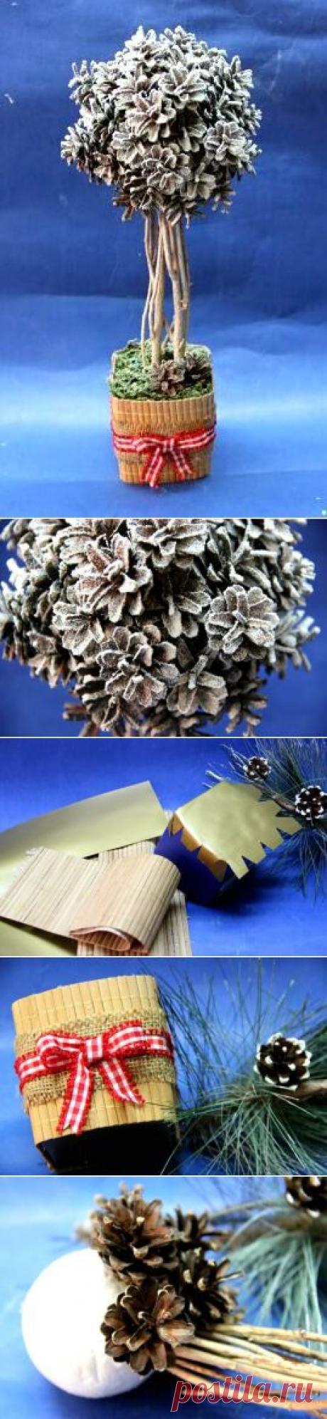 Топиарий- дерево счастья из шишек. Мастер-класс.