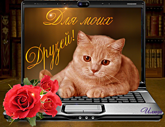 ♡ МУЗЫКАЛЬНОЕ ПОЗДРАВЛЕНИЕ ♡ - Одноклассники точка ру, это место для нашей встречи.Одноклассники точка ру Всем желаю любви и удачи!