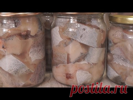 Консервы из Минтая в масле в Домашних условиях - YouTube