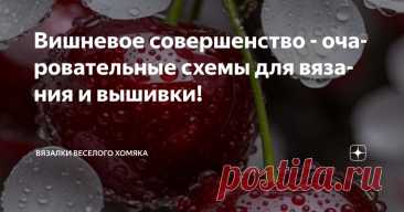 Вишневое совершенство - очаровательные схемы для вязания и вышивки! Статья автора «Вязалки Веселого Хомяка» в Дзене ✍: Эта маленькая экспрессивная коллекция исключительно для тех людей, кто любит красивый контент и не любит легко сдаваться!