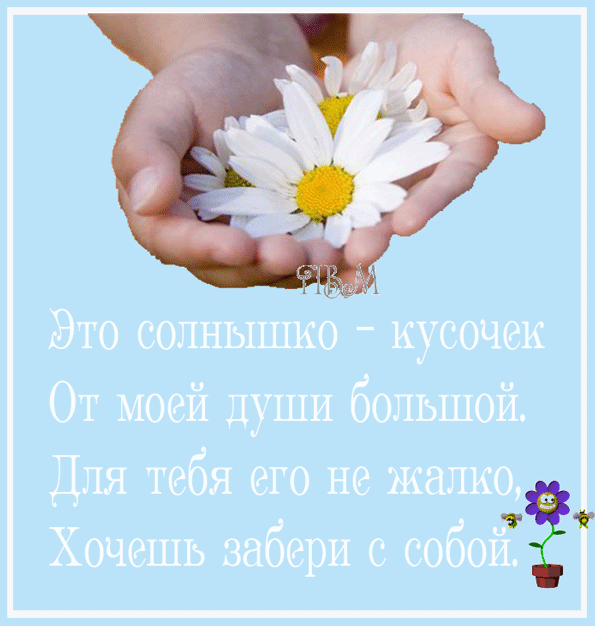 Ромашка - одно из 7-ми священных растений...