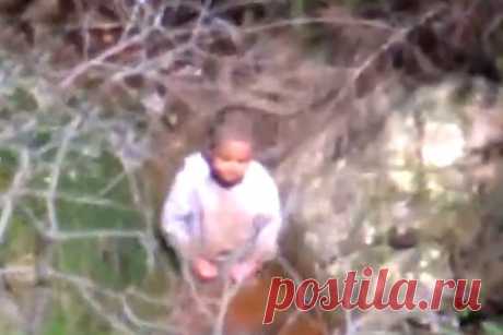 Сбежавшего трехлетнего мальчика нашли недалеко от дома пьющим воду из ручья. В Австралии трехлетний Энтони «Эй Джей» Элфалак с расстройством аутистического спектра сбежал из дома и четыре дня скитался по бушу. Мальчика искали больше ста сотрудников полиции и добровольцев. 6 сентября его увидели с вертолета пьющим воду из ручья недалеко от дома. Ребенок воссоединился с семьей.