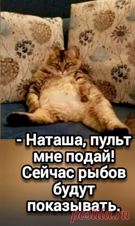 c7792758.jpg (614×1024)