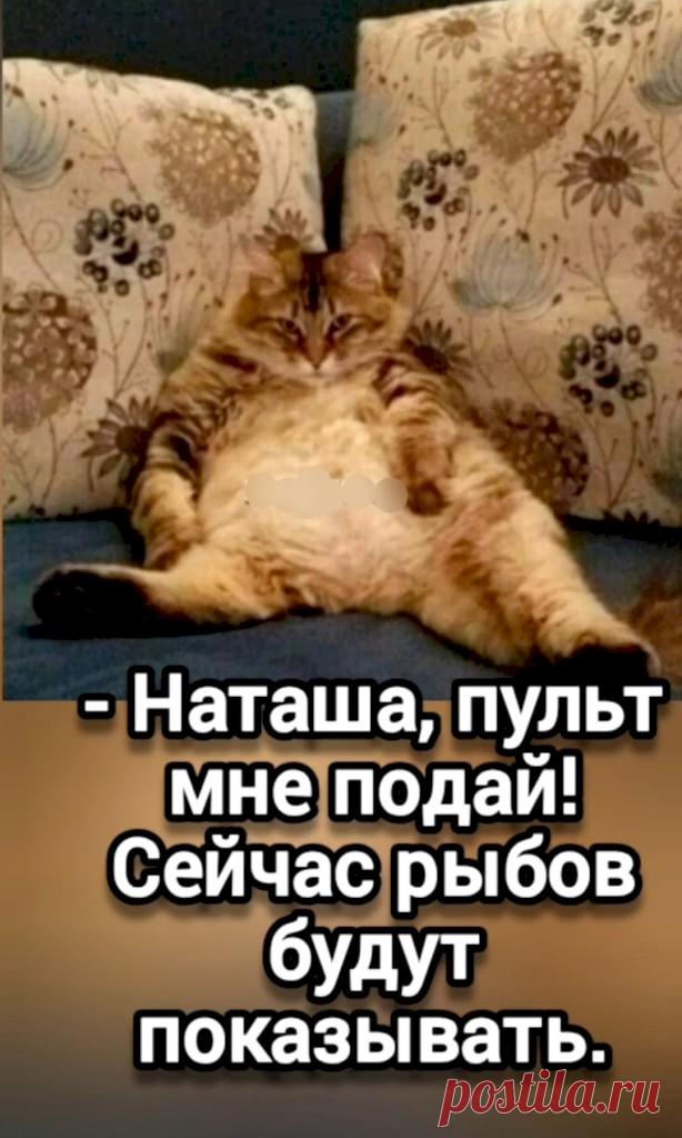 c7792758.jpg (614×1024)