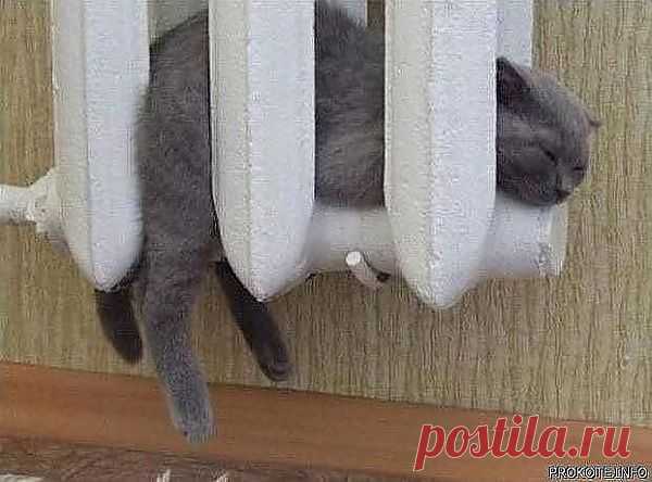 а