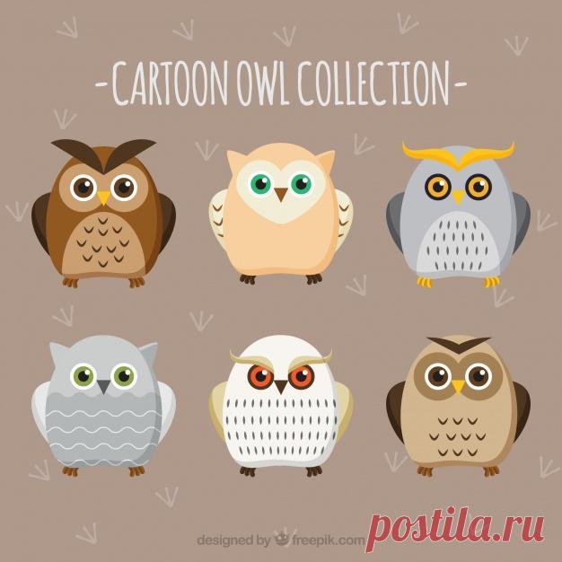 Коллекция плоских мультяшных сов Более миллиона свободных векторов, PSD, фотографии и бесплатные иконки. Эксклюзивные халявы и все графические ресурсы, которые необходимые для ваших проектов