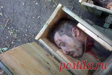 Матерям донецких ополченцев прислали отрезанные головы сыновей (18+) | Зарубежная пресса