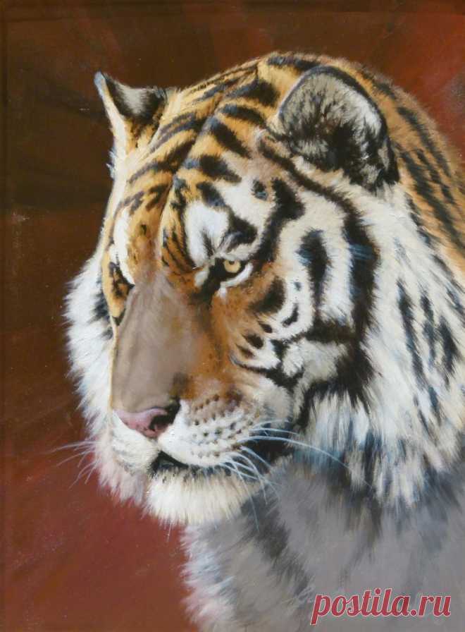 Кошачьи портреты Гая Коэлича - Искусство животных Гая Коэлича
