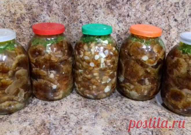 Грибочки соленые - пошаговый рецепт с фото. Автор рецепта Наталья 🏃‍♂️ . - Cookpad