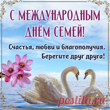 Семья — не просто слово,
Семья — не я, не ты.
Семья — это святое,
Союз большой любви. Открытки на Международный день семей!