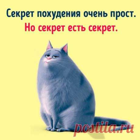 ЖИВИ