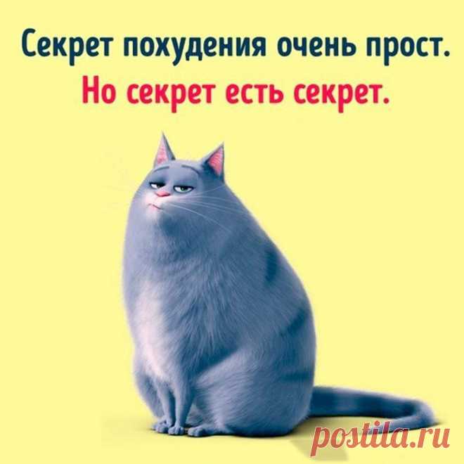 ЖИВИ