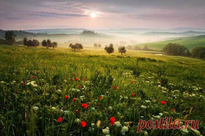 Родная земля 
Так что же такое ты. Родина? 
Поля в перелесках зари. 
Все очень знакомое вроде бы, 
А глянешь — и сердце горит.

И кажется: можешь с разбега 
Взлететь, не боясь вышины, 
И синюю звездочку с неба 
Достать для родимой страны.