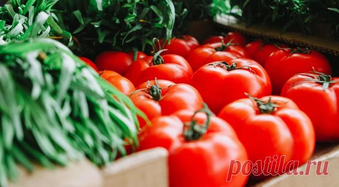 Лунный календарь посадок на 2022 год: благоприятные дни для посева | Lisa.ru