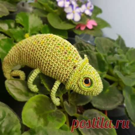PDF Хамелеон. FREE amigurumi crochet pattern. Бесплатный мастер-класс, схема для вязания амигуруми крючком. Игрушки своими руками! Ящерица, chameleon, camaleón, camaleão, caméléon, chamäleon, kameleon, lizard, lagarto, lézard, eidechse, トカゲ . #амигуруми #amigurumi #amigurumidoll #amigurumipattern #freepattern #freecrochetpatterns #crochetpattern #crochetdoll #crochettutorial #patternsforcrochet #вязание #вязаниекрючком #handmadedoll #рукоделие #ручнаяработа #pattern #tutorial #häkeln #amigurumis