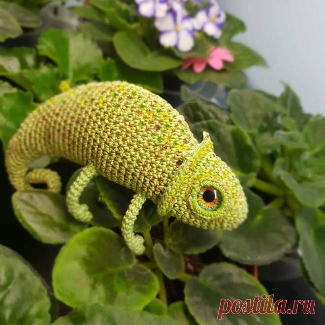 PDF Хамелеон. FREE amigurumi crochet pattern. Бесплатный мастер-класс, схема для вязания амигуруми крючком. Игрушки своими руками! Ящерица, chameleon, camaleón, camaleão, caméléon, chamäleon, kameleon, lizard, lagarto, lézard, eidechse, トカゲ . #амигуруми #amigurumi #amigurumidoll #amigurumipattern #freepattern #freecrochetpatterns #crochetpattern #crochetdoll #crochettutorial #patternsforcrochet #вязание #вязаниекрючком #handmadedoll #рукоделие #ручнаяработа #pattern #tutorial #häkeln #amigurumis