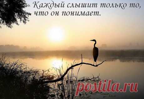 слово