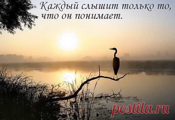 слово