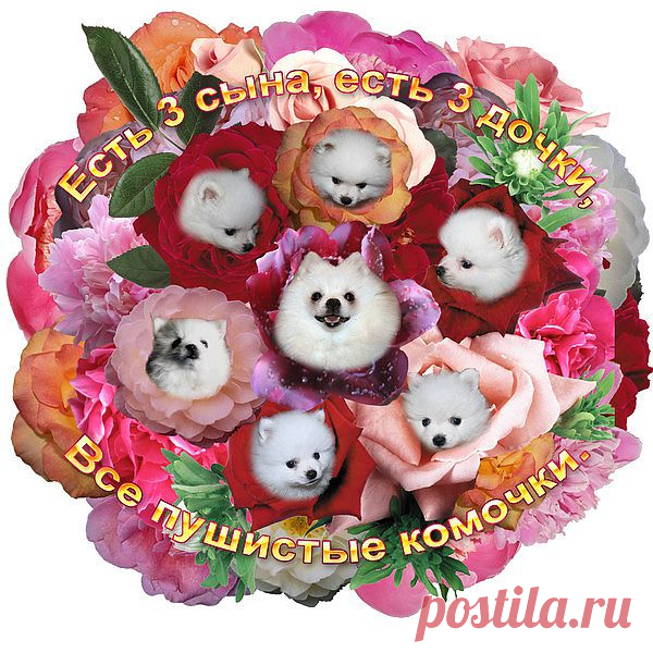 цветы жизни