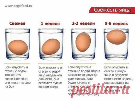 Как проверить свежесть яиц.