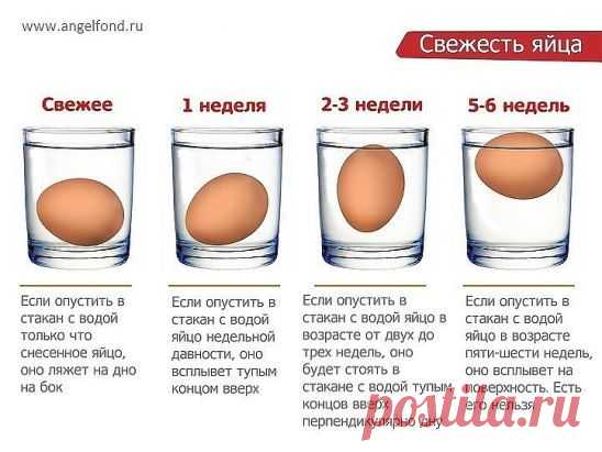 Как проверить свежесть яиц.