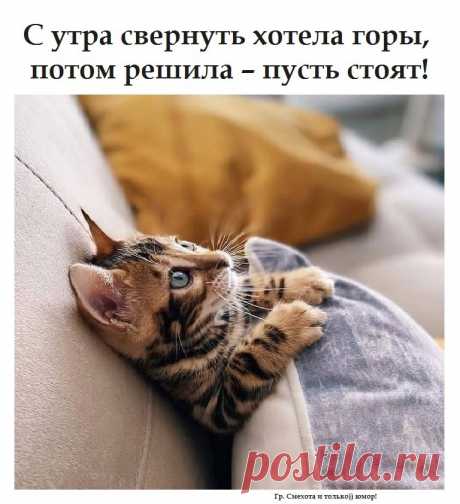 ггг