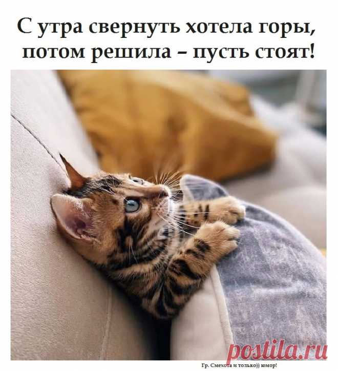 ггг