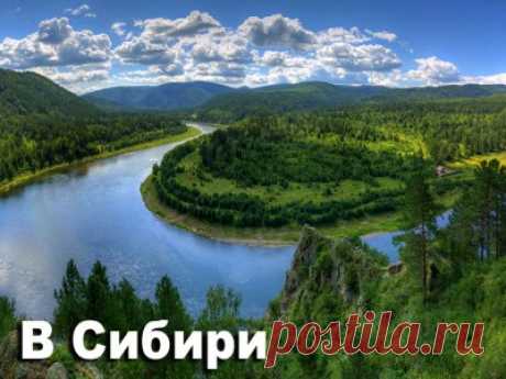 Мамонты Усолья. Телефон с деньгами. Забег по сопкам. Детсад для взрослых. Лучшим педагогам - по 100 тысяч - 7 Октября 2016 - Russia-Asia-Siberia