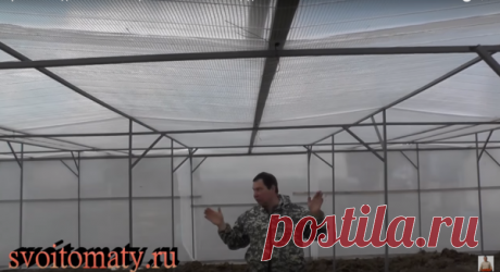 Простая бюджетная теплица ( ≈ 260 руб./м2) | Пчеловед | Яндекс Дзен