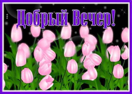 Живая открытка добрый вечер с розами