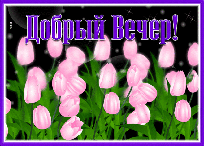 Живая открытка добрый вечер с розами