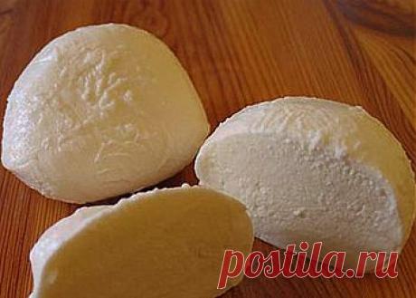 Экономные рецепты. Картофельный сыр. Этот сыр очень вкусный и долго хранится (в холодильнике – месяцами).